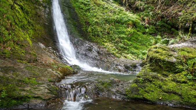 The base of Whitelady Waterfall in spring as it flows down the moss covered rock face into a deep pool, Lydford Gorge, Devon